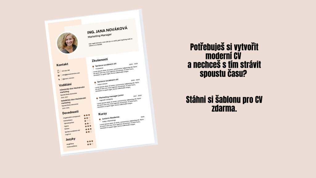 Šablona cv wp